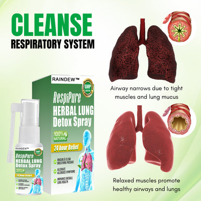 RAINDEW™ RespiPure Herbal Lung Detox Spray