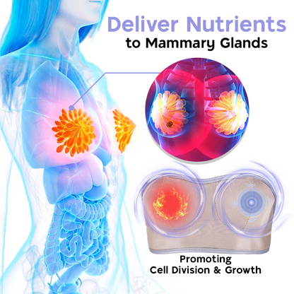 🥰𝐇𝐞𝐥𝐢𝐝𝐢𝐨™ 𝐂𝐮𝐫𝐯𝐚𝐋𝐢𝐟𝐭 𝐄𝐥𝐞𝐜𝐭𝐫𝐢𝐜 𝐂𝐡𝐞𝐬𝐭 𝐌𝐚𝐬𝐬𝐚𝐠𝐞𝐫 𝐏𝐥𝐮𝐬